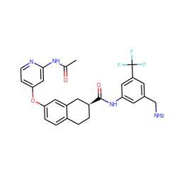 CC(=O)Nc1cc(Oc2ccc3c(c2)C[C@@H](C(=O)Nc2cc(CN)cc(C(F)(F)F)c2)CC3)ccn1 ZINC000066128443