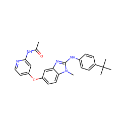 CC(=O)Nc1cc(Oc2ccc3c(c2)nc(Nc2ccc(C(C)(C)C)cc2)n3C)ccn1 ZINC000167575877