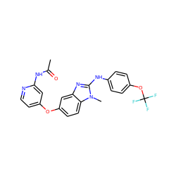 CC(=O)Nc1cc(Oc2ccc3c(c2)nc(Nc2ccc(OC(F)(F)F)cc2)n3C)ccn1 ZINC000167776088