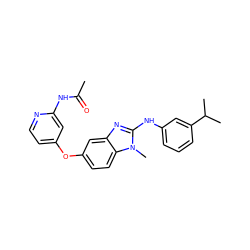 CC(=O)Nc1cc(Oc2ccc3c(c2)nc(Nc2cccc(C(C)C)c2)n3C)ccn1 ZINC000167230901