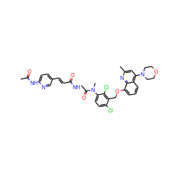 CC(=O)Nc1ccc(/C=C/C(=O)NCC(=O)N(C)c2ccc(Cl)c(COc3cccc4c(N5CCOCC5)cc(C)nc34)c2Cl)cn1 ZINC000026637746