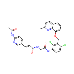 CC(=O)Nc1ccc(/C=C/C(=O)NCC(=O)Nc2ccc(Cl)c(COc3cccc4ccc(C)nc34)c2Cl)cn1 ZINC000027521565