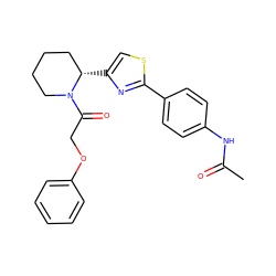 CC(=O)Nc1ccc(-c2nc([C@H]3CCCCN3C(=O)COc3ccccc3)cs2)cc1 ZINC000118599464