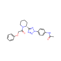 CC(=O)Nc1ccc(-n2nnc([C@H]3CCCCN3C(=O)COc3ccccc3)n2)cc1 ZINC000299858054