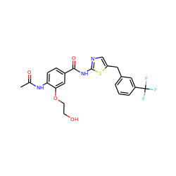 CC(=O)Nc1ccc(C(=O)Nc2ncc(Cc3cccc(C(F)(F)F)c3)s2)cc1OCCO ZINC000043023217