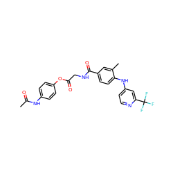 CC(=O)Nc1ccc(OC(=O)CNC(=O)c2ccc(Nc3ccnc(C(F)(F)F)c3)c(C)c2)cc1 ZINC000045371410