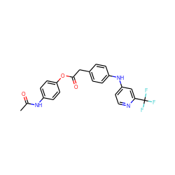 CC(=O)Nc1ccc(OC(=O)Cc2ccc(Nc3ccnc(C(F)(F)F)c3)cc2)cc1 ZINC000045355746