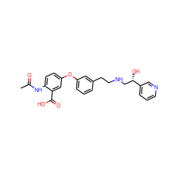 CC(=O)Nc1ccc(Oc2cccc(CCNC[C@H](O)c3cccnc3)c2)cc1C(=O)O ZINC000040422394