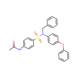 CC(=O)Nc1ccc(S(=O)(=O)N(Cc2ccccc2)c2ccc(Oc3ccccc3)cc2)cc1 ZINC001772584395