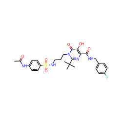 CC(=O)Nc1ccc(S(=O)(=O)NCCCn2c(C(C)(C)C)nc(C(=O)NCc3ccc(F)cc3)c(O)c2=O)cc1 ZINC000096940412