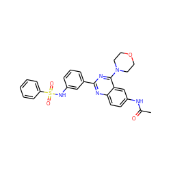 CC(=O)Nc1ccc2nc(-c3cccc(NS(=O)(=O)c4ccccc4)c3)nc(N3CCOCC3)c2c1 ZINC000034314144