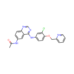 CC(=O)Nc1ccc2ncnc(Nc3ccc(OCc4ccccn4)c(Cl)c3)c2c1 ZINC000473149205