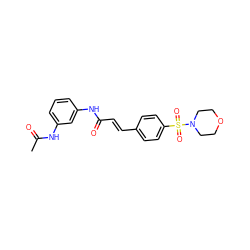 CC(=O)Nc1cccc(NC(=O)/C=C/c2ccc(S(=O)(=O)N3CCOCC3)cc2)c1 ZINC000003371183