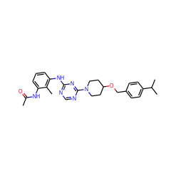 CC(=O)Nc1cccc(Nc2ncnc(N3CCC(OCc4ccc(C(C)C)cc4)CC3)n2)c1C ZINC000072108797