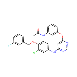 CC(=O)Nc1cccc(Oc2cc(Nc3ccc(OCc4cccc(F)c4)c(Cl)c3)ncn2)c1 ZINC000082153770