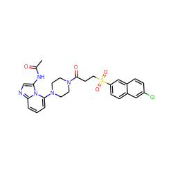 CC(=O)Nc1cnc2cccc(N3CCN(C(=O)CCS(=O)(=O)c4ccc5cc(Cl)ccc5c4)CC3)n12 ZINC000029055797