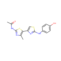 CC(=O)Nc1nc(C)c(-c2csc(Nc3ccc(O)cc3)n2)s1 ZINC000004092534