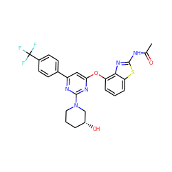 CC(=O)Nc1nc2c(Oc3cc(-c4ccc(C(F)(F)F)cc4)nc(N4CCC[C@@H](O)C4)n3)cccc2s1 ZINC000028961150