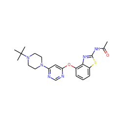 CC(=O)Nc1nc2c(Oc3cc(N4CCN(C(C)(C)C)CC4)ncn3)cccc2s1 ZINC000014974163