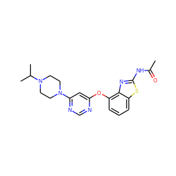 CC(=O)Nc1nc2c(Oc3cc(N4CCN(C(C)C)CC4)ncn3)cccc2s1 ZINC000014974160