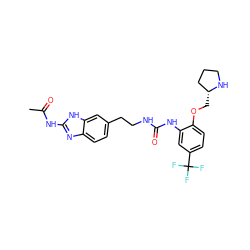 CC(=O)Nc1nc2ccc(CCNC(=O)Nc3cc(C(F)(F)F)ccc3OC[C@@H]3CCCN3)cc2[nH]1 ZINC000071330746