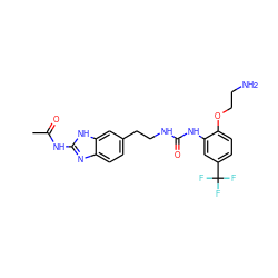 CC(=O)Nc1nc2ccc(CCNC(=O)Nc3cc(C(F)(F)F)ccc3OCCN)cc2[nH]1 ZINC000071318566