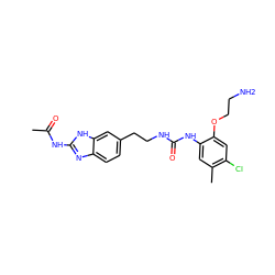 CC(=O)Nc1nc2ccc(CCNC(=O)Nc3cc(C)c(Cl)cc3OCCN)cc2[nH]1 ZINC000071317383