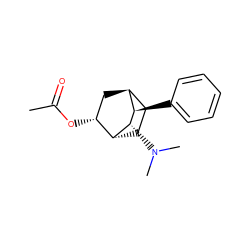 CC(=O)O[C@@H]1C[C@H]2CC[C@H]1[C@@H](N(C)C)[C@@H]2c1ccccc1 ZINC000253639327