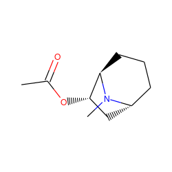 CC(=O)O[C@H]1C[C@H]2CCC[C@H]1N2C ZINC000195209824