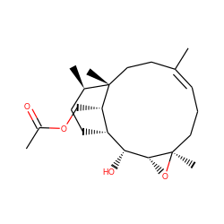 CC(=O)OC[C@H]1[C@H]2CC[C@@H](C)[C@]1(C)CC/C(C)=C/CC[C@@]1(C)O[C@@H]1[C@@H]2O ZINC000100788034