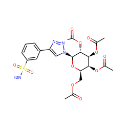 CC(=O)OC[C@H]1O[C@@H](n2cc(-c3cccc(S(N)(=O)=O)c3)nn2)[C@H](OC(C)=O)[C@@H](OC(C)=O)[C@H]1OC(C)=O ZINC000103242284