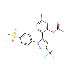 CC(=O)Oc1cc(C)ccc1-c1cc(C(F)(F)F)nn1-c1ccc(S(C)(=O)=O)cc1 ZINC000072127770