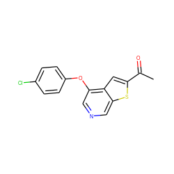 CC(=O)c1cc2c(Oc3ccc(Cl)cc3)cncc2s1 ZINC000199056906