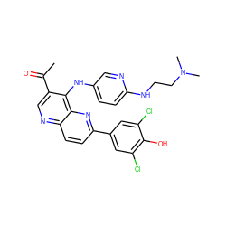 CC(=O)c1cnc2ccc(-c3cc(Cl)c(O)c(Cl)c3)nc2c1Nc1ccc(NCCN(C)C)nc1 ZINC000473213520