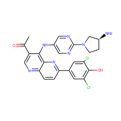 CC(=O)c1cnc2ccc(-c3cc(Cl)c(O)c(Cl)c3)nc2c1Nc1cnc(N2CC[C@H](N)C2)nc1 ZINC000473213509