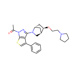 CC(=O)n1nc(N2C[C@H]3C[C@H]2C[C@H]3OCCN2CCCC2)c2c(-c3ccccc3)csc21 ZINC000653663963