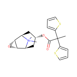 CC(C(=O)O[C@@H]1C[C@H]2[C@@H]3O[C@@H]3[C@@H](C1)[N+]2(C)C)(c1cccs1)c1cccs1 ZINC000103242108