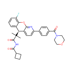 CC(C)(C(=O)NC(=O)C1CCC1)[C@@H]1c2ccc(-c3ccc(C(=O)N4CCOCC4)cc3)nc2Oc2c(F)cccc21 ZINC000299833208