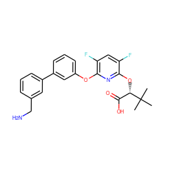 CC(C)(C)[C@@H](Oc1nc(Oc2cccc(-c3cccc(CN)c3)c2)c(F)cc1F)C(=O)O ZINC000205209964