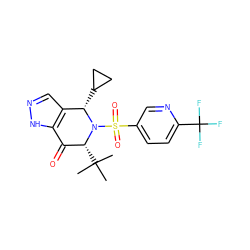 CC(C)(C)[C@@H]1C(=O)c2[nH]ncc2[C@H](C2CC2)N1S(=O)(=O)c1ccc(C(F)(F)F)nc1 ZINC000049036145