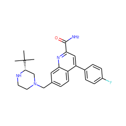 CC(C)(C)[C@@H]1CN(Cc2ccc3c(-c4ccc(F)cc4)cc(C(N)=O)nc3c2)CCN1 ZINC000221606112