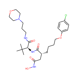 CC(C)(C)[C@H](NC(=O)[C@H](CCCCOc1ccc(Cl)cc1)CC(=O)NO)C(=O)NCCCN1CCOCC1 ZINC000026574049