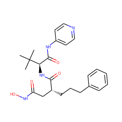 CC(C)(C)[C@H](NC(=O)[C@H](CCCc1ccccc1)CC(=O)NO)C(=O)Nc1ccncc1 ZINC000027649784