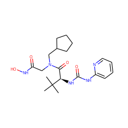 CC(C)(C)[C@H](NC(=O)Nc1ccccn1)C(=O)N(CC(=O)NO)CC1CCCC1 ZINC000058537977