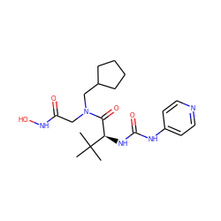 CC(C)(C)[C@H](NC(=O)Nc1ccncc1)C(=O)N(CC(=O)NO)CC1CCCC1 ZINC000058581786