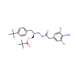 CC(C)(C)C(=O)OC[C@H](CNC(=O)Cc1cc(Br)c(N)c(Br)c1)Cc1ccc(C(C)(C)C)cc1 ZINC000064436273