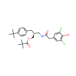 CC(C)(C)C(=O)OC[C@H](CNC(=O)Cc1cc(Cl)c(O)c(Cl)c1)Cc1ccc(C(C)(C)C)cc1 ZINC000064448779