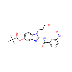 CC(C)(C)C(=O)Oc1ccc2c(c1)nc(NC(=O)c1cccc([N+](=O)[O-])c1)n2CCCO ZINC000016052255