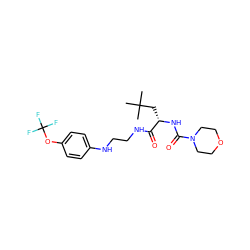 CC(C)(C)C[C@H](NC(=O)N1CCOCC1)C(=O)NCCNc1ccc(OC(F)(F)F)cc1 ZINC000014971996