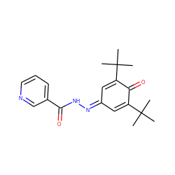 CC(C)(C)C1=CC(=NNC(=O)c2cccnc2)C=C(C(C)(C)C)C1=O ZINC000005817197